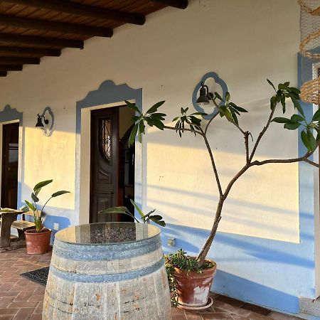 Вилла Aproveite O Sabor Do Alentejo Vila Verde de Ficalho Экстерьер фото