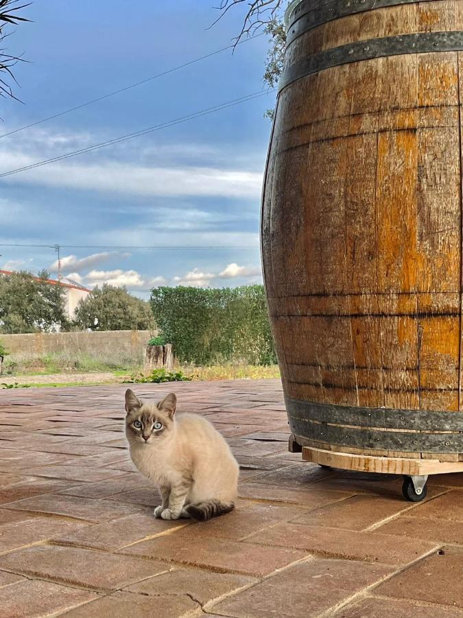 Вилла Aproveite O Sabor Do Alentejo Vila Verde de Ficalho Экстерьер фото